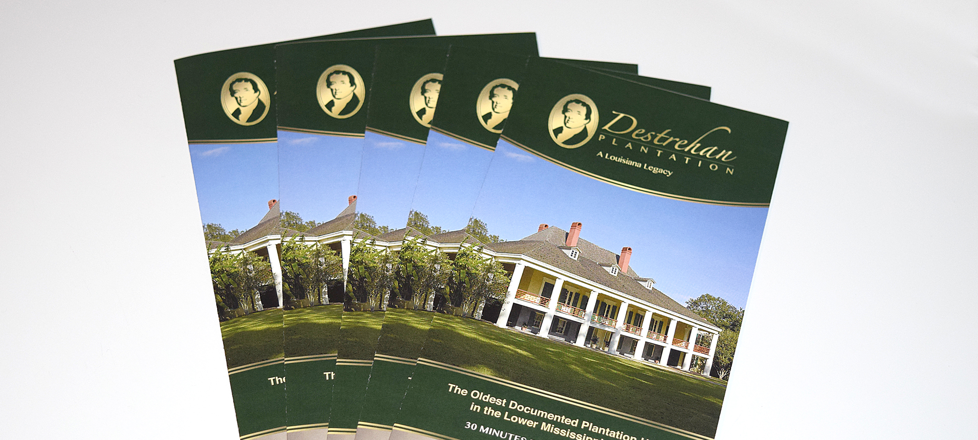 Brochure Design